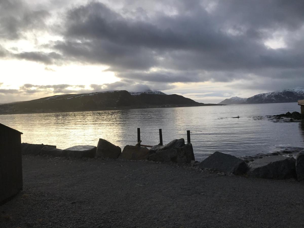 Lofoten Havfiske&Rorbuopplevelser Leknes Eksteriør billede