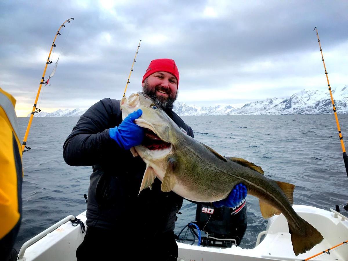 Lofoten Havfiske&Rorbuopplevelser Leknes Eksteriør billede