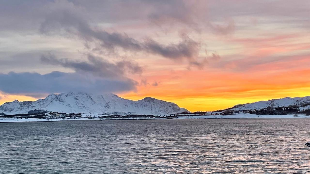 Lofoten Havfiske&Rorbuopplevelser Leknes Eksteriør billede