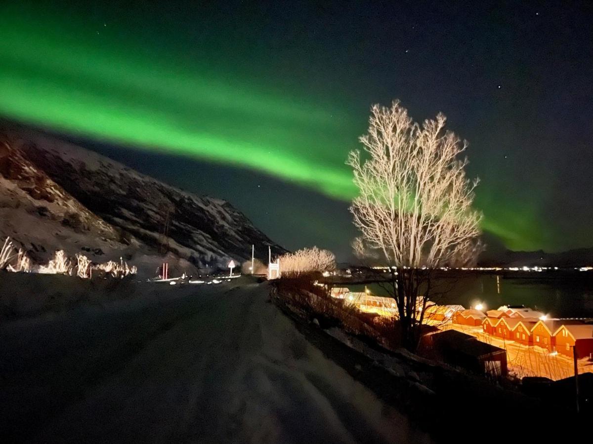 Lofoten Havfiske&Rorbuopplevelser Leknes Eksteriør billede