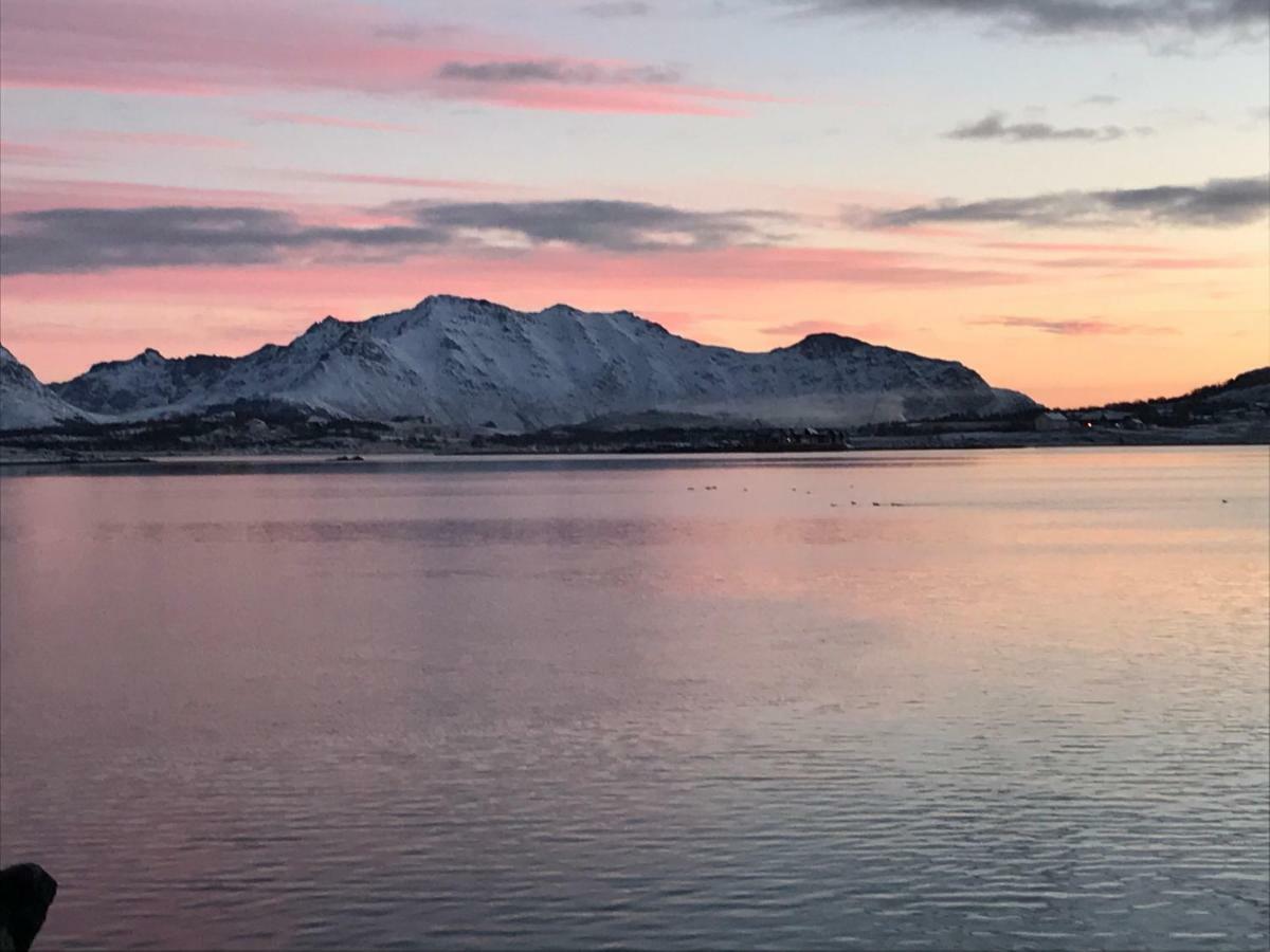 Lofoten Havfiske&Rorbuopplevelser Leknes Eksteriør billede
